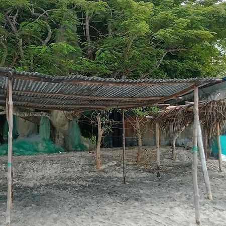 Taca Tucan Hostel 普拉亚布兰卡 外观 照片